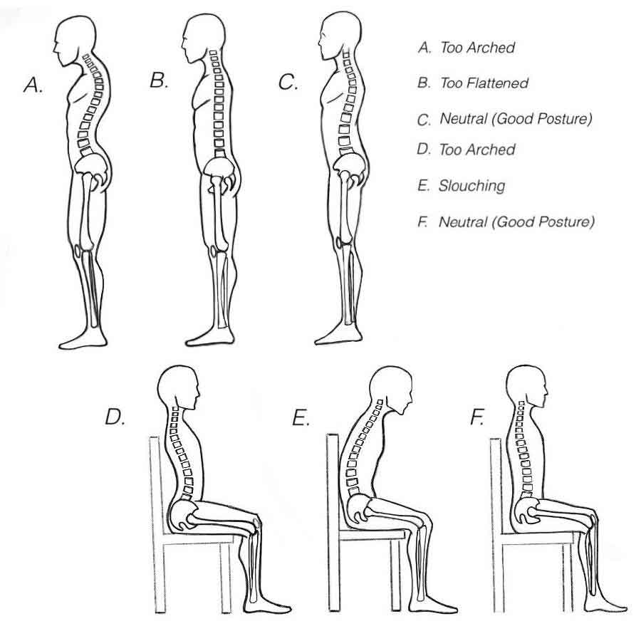 Image shows different spine positions