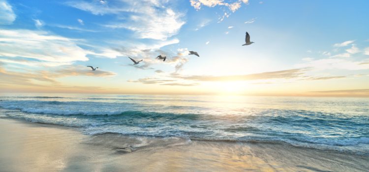4 tips for your summer routine Summer routine